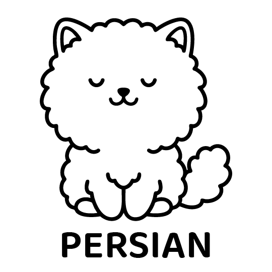 眠りねこ（ペルシアン）｜Closed Eye Persian