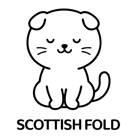 眠りねこ（スコティッシュフォールド）｜Closed Eye Scottish Fold